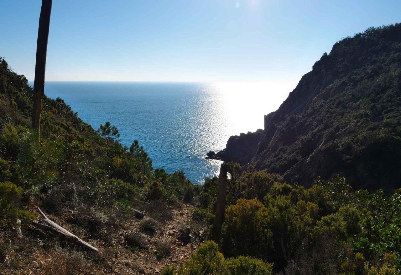 M'Illumino D'Immenso - Moneglia Apartments Экстерьер фото